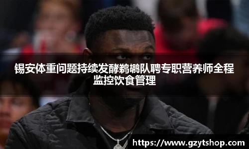 智博19有限公司