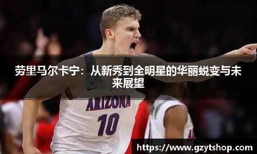 智博19有限公司