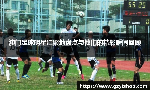 智博19有限公司