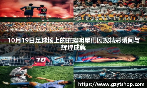 智博19有限公司